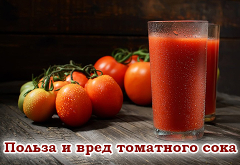 Польза и вред томатного сока: объективная оценка